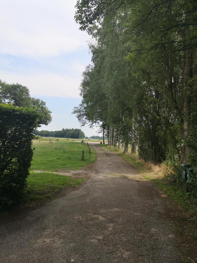 Vakantieboerderij Misset Διαμέρισμα Goor Εξωτερικό φωτογραφία